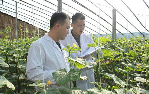 安丘百名檢測員一線把關，筑牢“舌尖安全”防護網